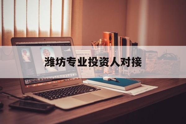吴忠市潍坊专业投资人对接(潍坊专业投资人对接中心)
