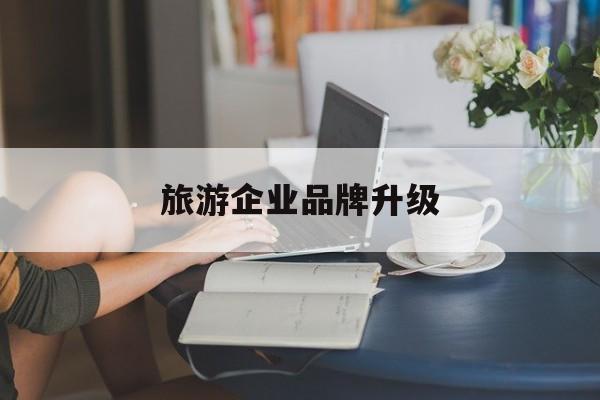 吴忠市旅游企业品牌升级(旅游企业品牌升级措施)