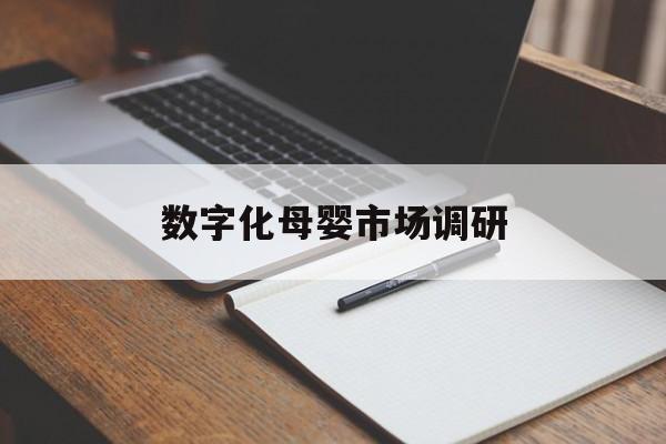 吴忠市数字化母婴市场调研(数字化母婴市场调研报告)